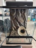 Exo terra 45x45x60 terrarium, Dieren en Toebehoren, Ophalen, Gebruikt, Terrarium of Paludarium