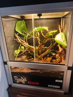 Paludarium Dutch Rana 45x45x75, Animaux & Accessoires, Enlèvement, Éclairage