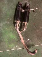 Carbon twin uitlaat dax,monkey,chaly, Enlèvement ou Envoi, Comme neuf, Pot d'échappement