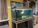 Aquarium met vissen, Dieren en Toebehoren, Ophalen, Gebruikt