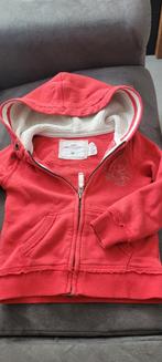 Winter hoodie rood, Enlèvement