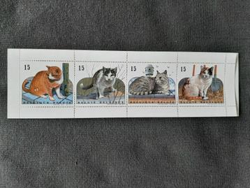 Postzegelboekje - Belgie - Europese Katten - Postfris beschikbaar voor biedingen