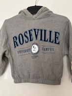 Zara sweatshirt maat 122, Kinderen en Baby's, Gebruikt, Meisje, Ophalen of Verzenden, Zara