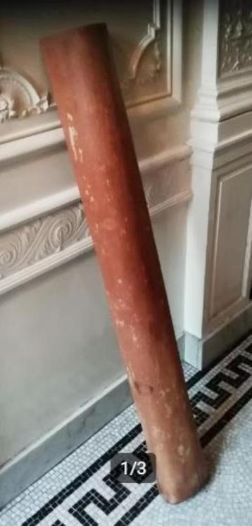 Stam palmhout (buxus sempervirens) beschikbaar voor biedingen