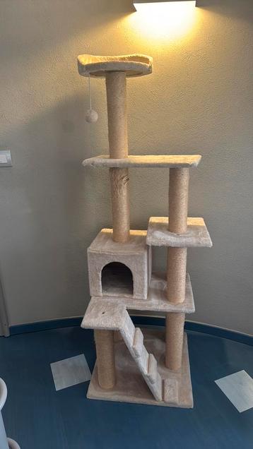 Kattenpaal beschikbaar voor biedingen