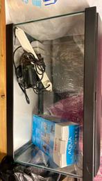 Aquarium, Dieren en Toebehoren, Vis, Zoetwatervis, Schoolvis