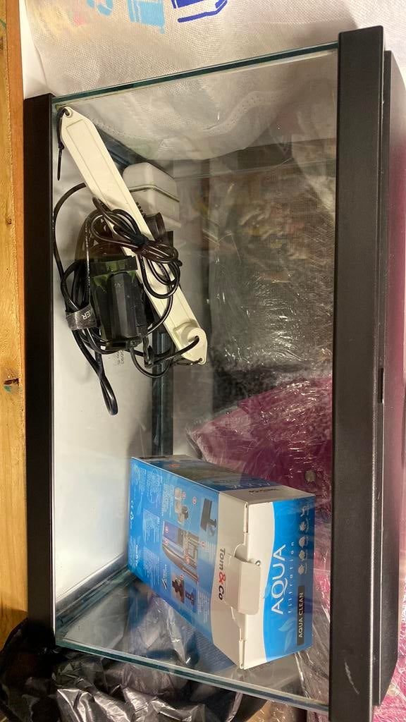 Aquarium, Dieren en Toebehoren, Vissen | Aquariumvissen, Zoetwatervis, Vis, Schoolvis