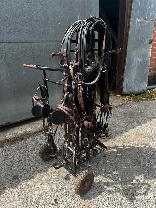 Enkel- en dubbelspan tuig, Dieren en Toebehoren, Paarden en Pony's | Hoofdstellen en Tuigage, Gebruikt, Ophalen