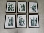 6 kaders, Huis en Inrichting, Woonaccessoires | Lijsten, Ophalen, Zo goed als nieuw