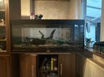 Kast met aquarium, Dieren en Toebehoren, Vissen | Aquaria en Toebehoren, Ophalen, Gebruikt, Leeg aquarium