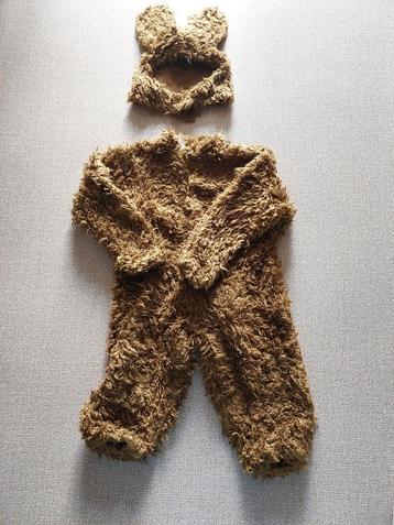 Berenpakken met muts beschikbaar voor biedingen