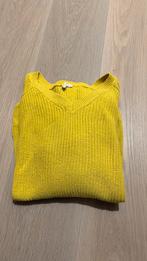 Trui Q|S maat L, Kleding | Dames, Truien en Vesten, Ophalen, Gedragen, Maat 42/44 (L)