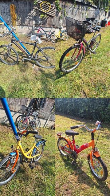 Te koop 3 kinderfiesten en 1 mountainbike  beschikbaar voor biedingen