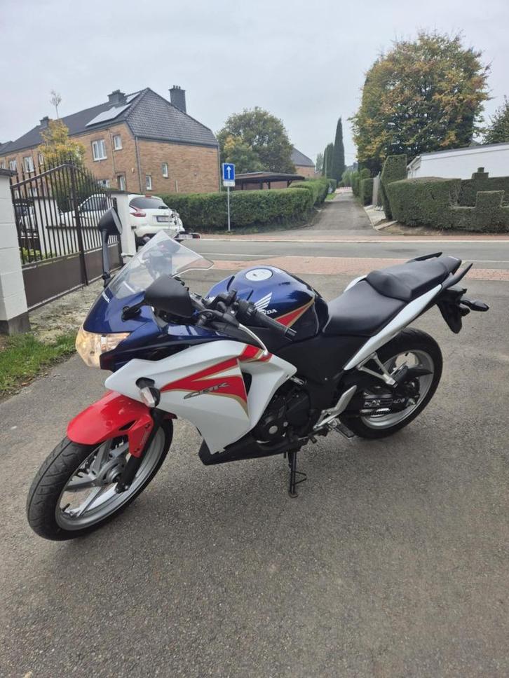 Honda cbr 250, Motoren, Motoren | Honda, Bedrijf, Sport, 12 t/m 35 kW, 1 cilinder, Minimaal motorrijbewijs A2, ABS, Ophalen