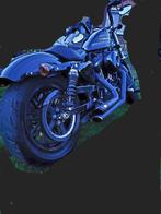 Harley Davidson XL1200 FORTY-EIGHT SPECIAL CUSTOM, Motoren, Motoren | Harley-Davidson, Particulier, Overig, 1200 cc