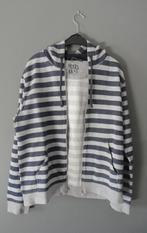 ZARA grijs/blauwe hooded sweater (maat 42), Kleding | Heren, Ophalen, Zara, Overige maten, Grijs