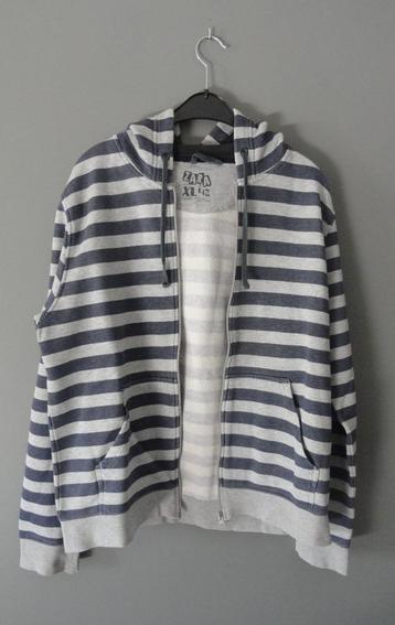 ZARA grijs/blauwe hooded sweater (maat 42) beschikbaar voor biedingen