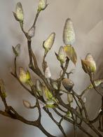 Kunststof magnoliatakken, Ophalen of Verzenden, Onbekend, Onbekend, Onbekend