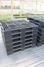 Plastic pallets, Diversen, Ophalen, Zo goed als nieuw