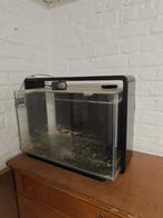 Aquarium Superfish home 60, Dieren en Toebehoren, Ophalen, Zo goed als nieuw