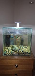 Aquarium, Animaux & Accessoires, Poissons | Aquariums & Accessoires, Enlèvement, Comme neuf, Aquarium vide