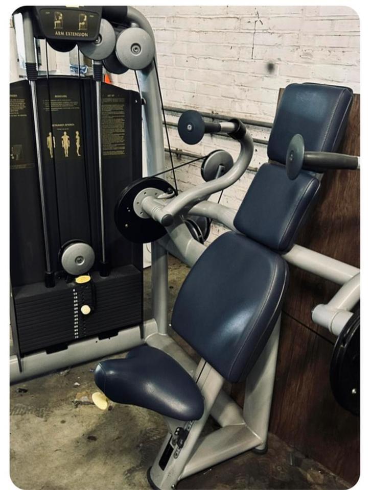 TECHNOGYM SELECTION TRICEPS, Sport en Fitness, Fitnessmaterialen, Zo goed als nieuw, Ophalen of Verzenden