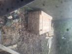 Grenen planken, balken, Doe-het-zelf en Bouw, Hout en Planken, Ophalen, Grenen, Plank