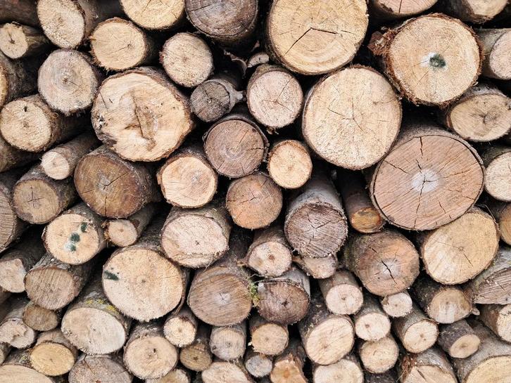 Bois de chauffage sec pour cet hiver : peuplier 33 cm, Tuin en Terras, Brandhout, Blokken, Overige houtsoorten, Ophalen