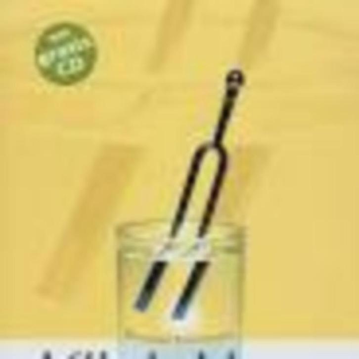 Klink klaar uitspraak en intonatiegids Met CD, Boeken, Studieboeken en Cursussen, Zo goed als nieuw, Ophalen of Verzenden