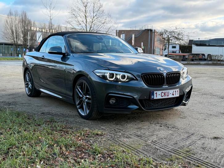 220 i cabrio M sport,2000 cc,automaat,navigatie,leder, Auto's, BMW, Particulier, 2 Reeks, ABS, Achteruitrijcamera, Airbags, Airconditioning