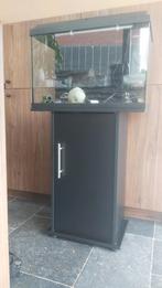 Juwel primo 60 aquarium, Ophalen, Gebruikt