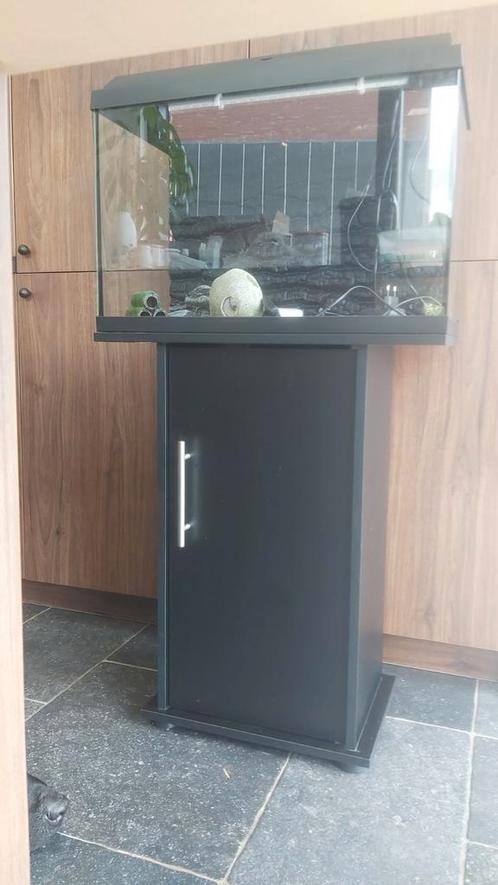 Juwel primo 60 aquarium, Dieren en Toebehoren, Vissen | Aquaria en Toebehoren, Gebruikt, Ophalen