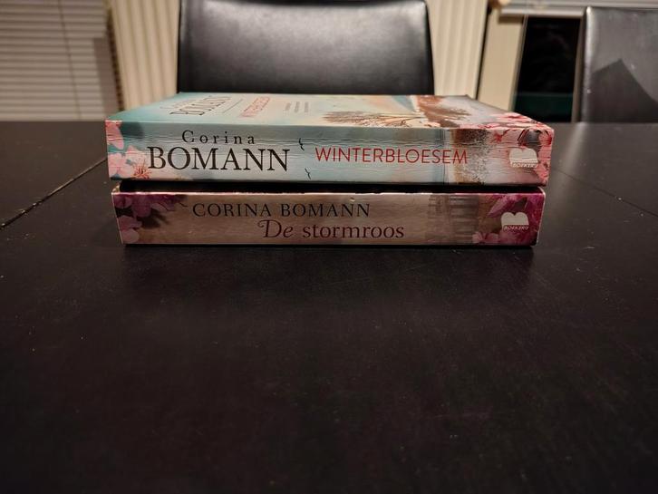 Boeken Corina Bomann, Livres, Romans, Enlèvement