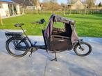 elektrische bakfiets Vogue Carry 2 + extra batt, kinderzitje, Fietsen en Brommers, Overige merken, Elektrisch, 4 kinderen of meer