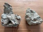 2 fossiele stenen (aquarium), Ophalen, Fossiel