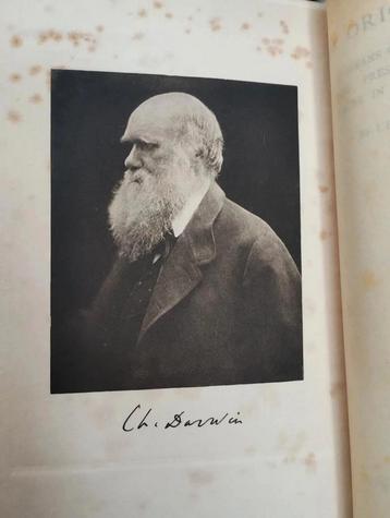 1901 ~ Origin of Species by Charles Darwin beschikbaar voor biedingen