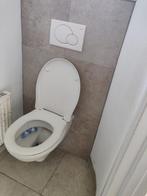 Zelf uit te breken: 2x hangtoilet + drukplaat, Ophalen, Gebruikt, Toilet