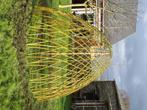 wilgentenen gele knotwilg wilgenhut knotwilgen, Tuin en Terras, 250 tot 400 cm, Ophalen