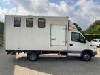 Iveco Daily 40C12 375 Paardenwagen klein rijbewijs, Gebruikt, Iveco, Overige brandstoffen, Bedrijf