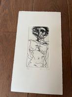 Mooie ets Sam Dillemans, Ophalen