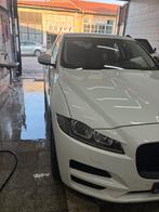 Jaguar f pace, Cuir, Achat, Entreprise, 5 portes