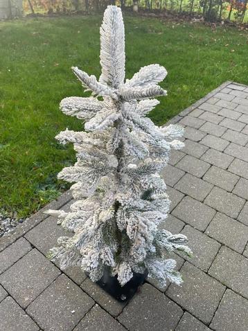 Sapin de Noël beschikbaar voor biedingen