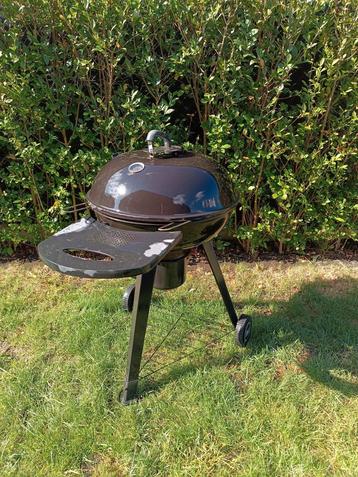 BBQ houtskool beschikbaar voor biedingen