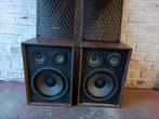 Enceintes Vintage Sonics, Autres marques, Moins de 60 watts, Enlèvement, Utilisé
