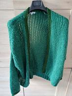 Splinternieuwe Cardigan Millennium TU, Ophalen of Verzenden, Nieuw