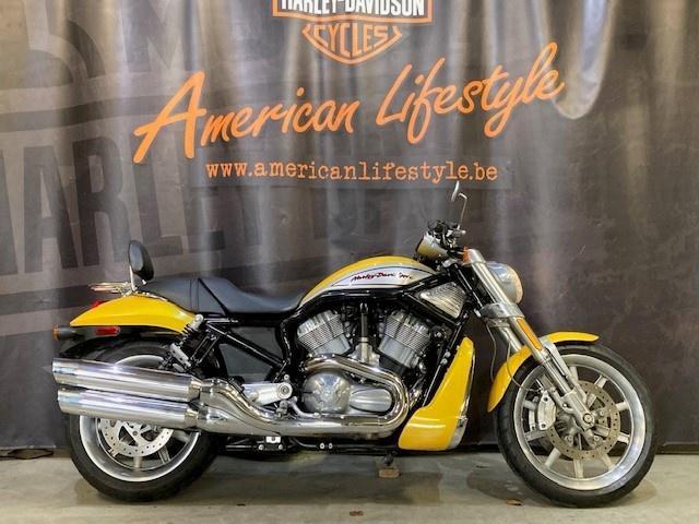 Harley-Davidson Chopper V-Rod - Streetrod VRSCR, Motos, Motos | Harley-Davidson, Entreprise, Autre, plus de 35 kW