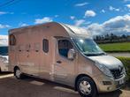 Theault Dub. Cab. Nieuwstaat amper 15 000km!!!, Dieren en Toebehoren, Paarden en Pony's | Trailers en Aanhangwagens, Ophalen of Verzenden