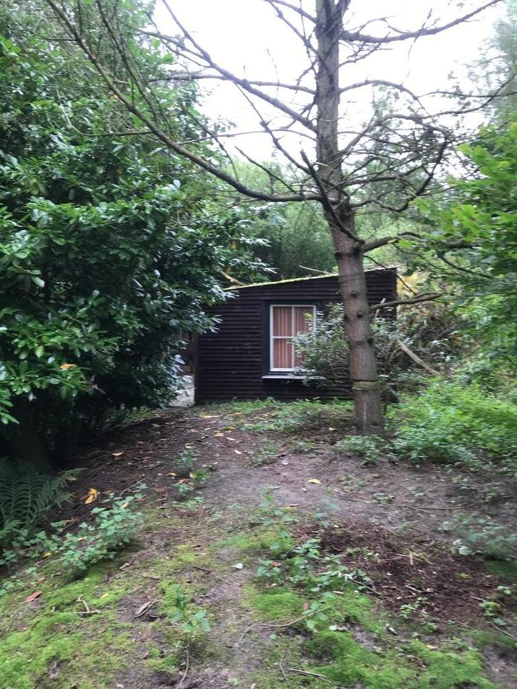 Visvijver, Tuin en Terras, Vijvers, Gebruikt, Ophalen of Verzenden