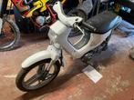 Honda Walaroo, Particulier