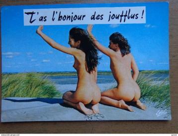 Postkaart Naakt / T'as l'bonjour des joufflus beschikbaar voor biedingen